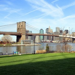 The lost and future wildlife of New York City's East River