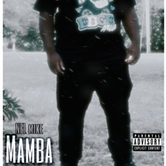 Nfl - Mamba