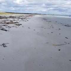 Ocean Surf -- The Hawk Beach, Nova Scotia, Canada