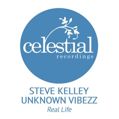 Steve Kelley, Unknown Vibezz - Real Life (Original Mix)