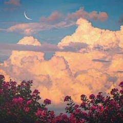 Industry Baby  Nagada Sang Dhol  Mashup.mp3