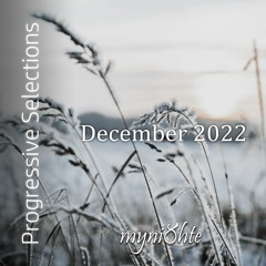 Progressive Selections | December 2022