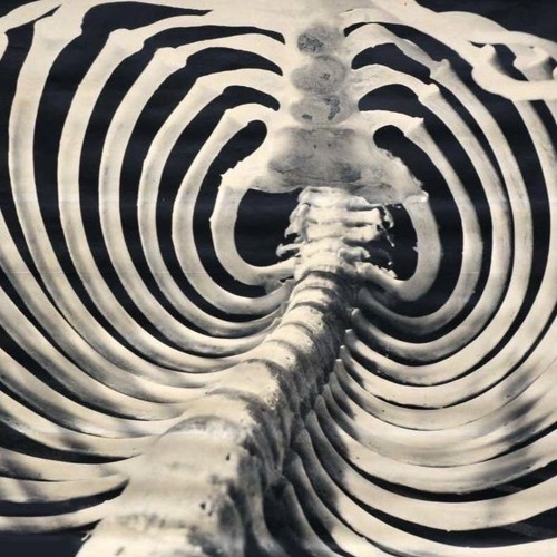 hustle bone prod xami