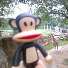 coralao de pedra (irmaos demo) (xanwyd)