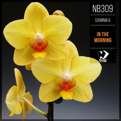 Daminika - In the Morning (Original Mix)