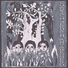 Shadrach Fire