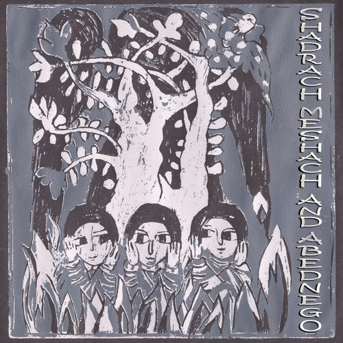 Shadrach Fire