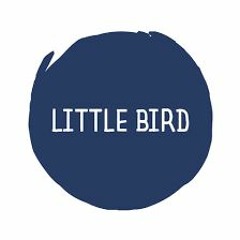 Martin Morgan - Little Bird