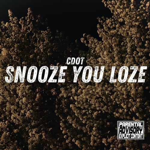 SNOOZE YOU LOZE