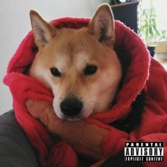 Plumpkin - Nigga feat. TypicalDoggo (Official Track)