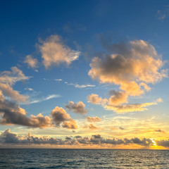 West_coast_beat