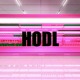 on HODL (ZODIAC Ultimate Beat Contest)