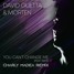 David Guetta & MORTEN - You Can't Change Me feat. RAYE (Charly Madea Remix)