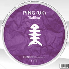 Rolling [Original Mix] Fleshtones