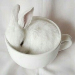 三日月ステップ<cover>