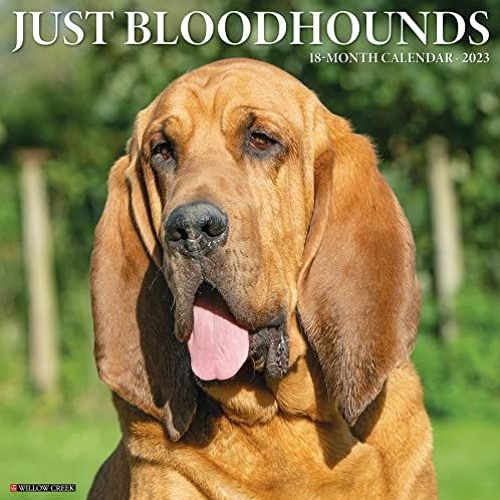 Read PDF EBOOK EPUB KINDLE Just Bloodhounds 2023 Wall Calendar by  Willow Creek Press