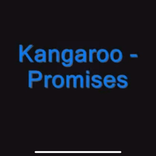 Kangaroo-Promises