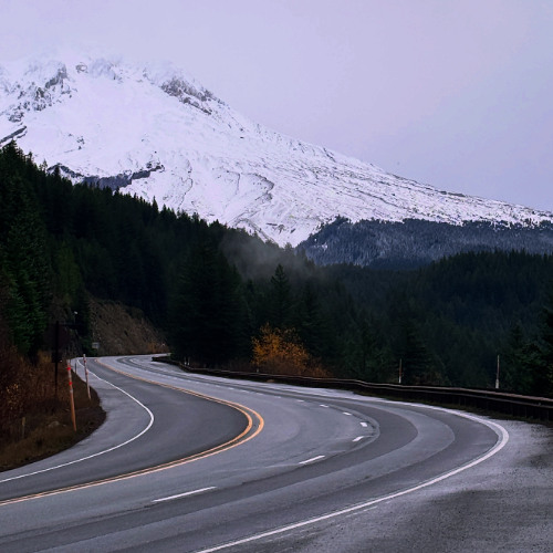 the plane that landed in bed