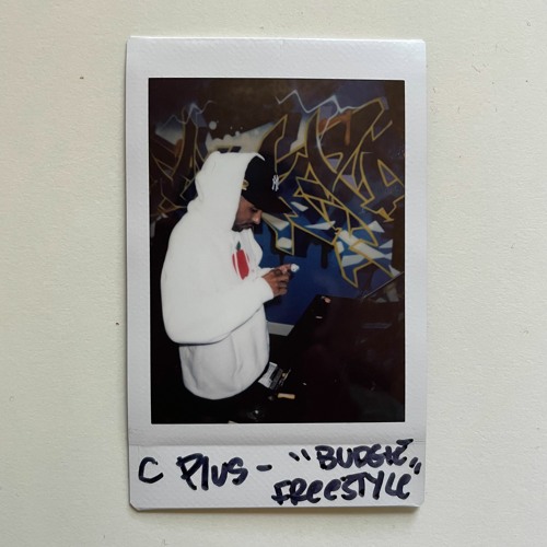 C Plus - Budgie Freestyle #PracticeWithPlus