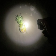 BEENDK X ADHD X WIDEBDY