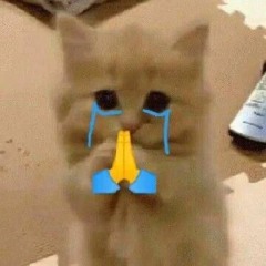 Misscall แต่ Miss u : 6efthug