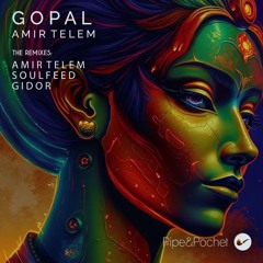 Amir Telem - Gopal (Soulfeed Remix)