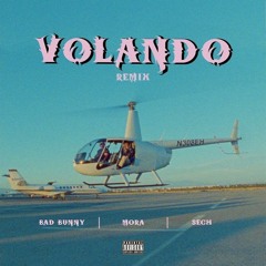Mora, Bad Bunny, Sech - Volando Remix [DJ JEFF] free download