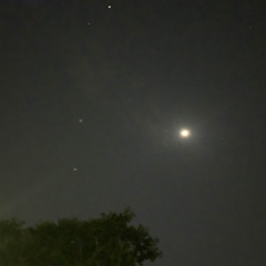 angel dust