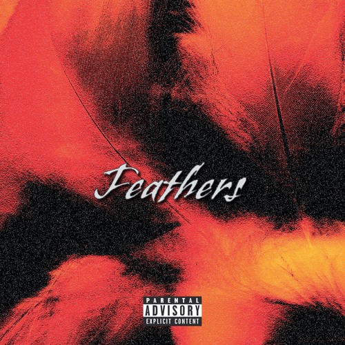 FEATHERS