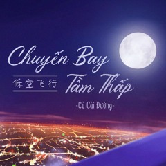 Chuyến bay tầm thấp - Củ Cải Đường