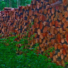 Art and Extractivism Reading Group Pilot Part 1