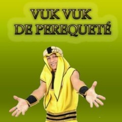 # AS MELHORES DO MC VUK VUK x PARTE 1 (( DJ LUCAS GALUDÃO ))