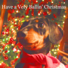 christmastime afternoon