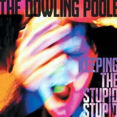 Keeping The Stupid Stupid