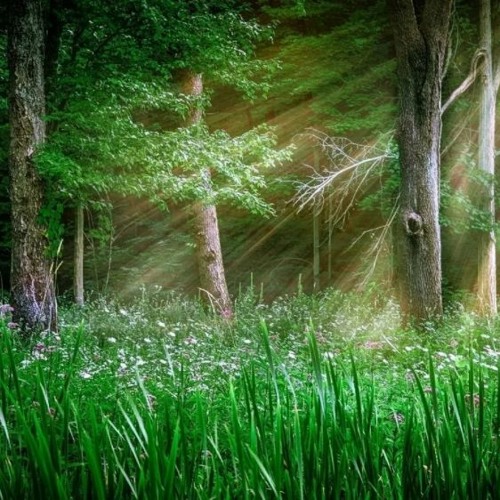 ----/--/-- background size cover (FREE DOWNLOAD)