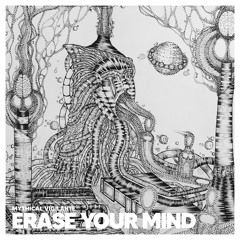 Erase Your Mind