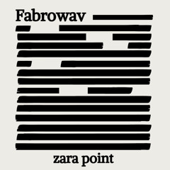 Zara point