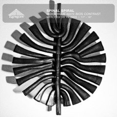 Spinal Spiral - Indigoblue invite Bios Contrast (Février 2024)