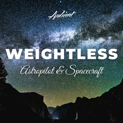 Astropilot & Spacecraft - Weightless