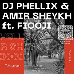DJ Phellix & Sant Ft. Amir Sheykh-Roye To (VIP Mix)