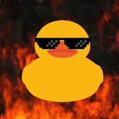 Cool Duck