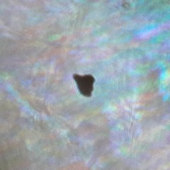 ¿do you know who you are?