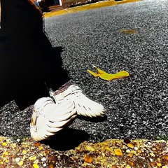 THE MORNING AFTER THE PARTY (The Weeknd x Teyana Taylor x Janet Jackson)