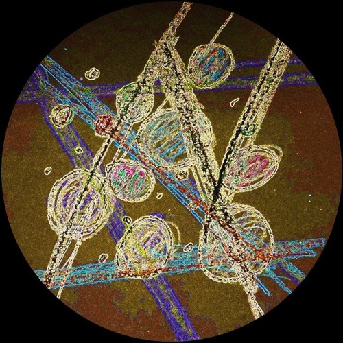 Looper VI (Bit Ripper mix)