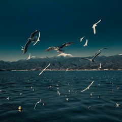 Flying bird