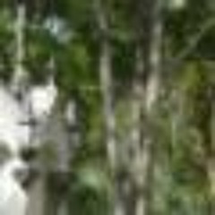 .nearfar