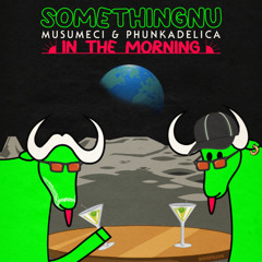 Somethingnu (Musumeci & Phunkadelica) - In The Morning (Original Mix)