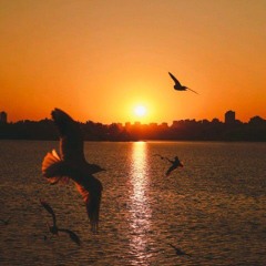 Kilo 81, Bena4orce, Jayy Money - Run It Up.mp3