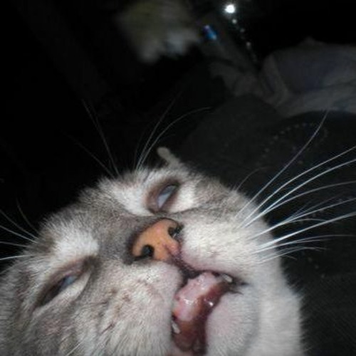 I Want In - widnick x demo_rough