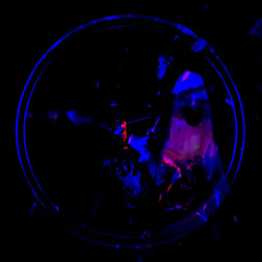 Room//shit (2 songs)